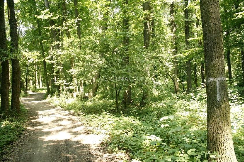 Oportunitate investitie exceptionala ! Pipera 352.400 mp. partial in intravilan - 3