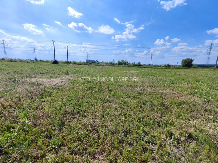 Mosnita Noua teren langa centura 90000 euro - 2