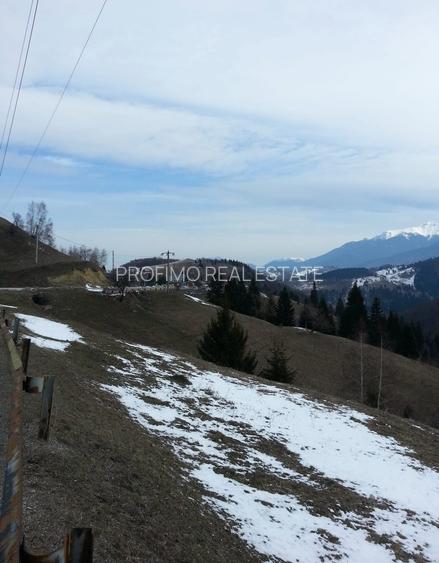 Moeciu, Drumul Carului, teren 3750 mp, 75000 euro - 2