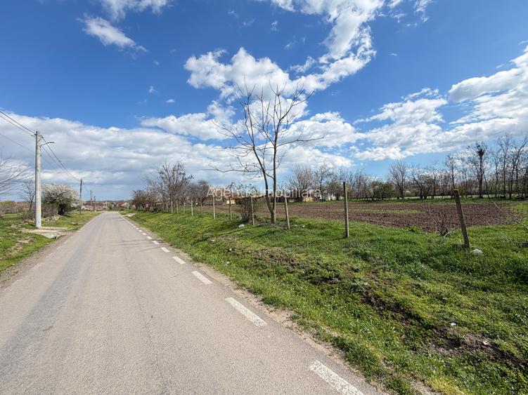 Teren intravilan Localitatea Mihai Viteazu - 6