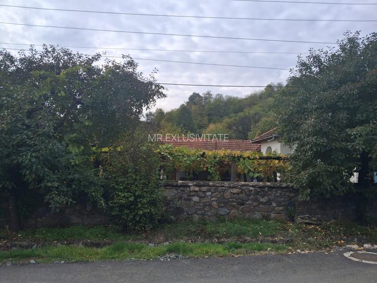 Casa traditionala cu teren generos – Borosteni, Pestisani, jud. Gorj - 3