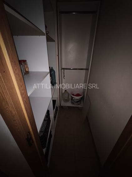 Sagului- Piata Doina 3 camere 400 euro - 10