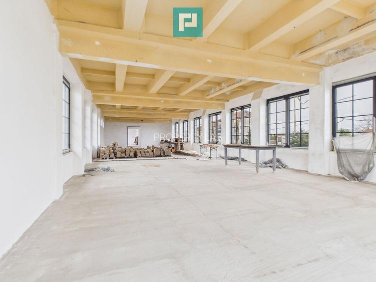 Spațiu de 270 mp pentru investiții în Periam - 9