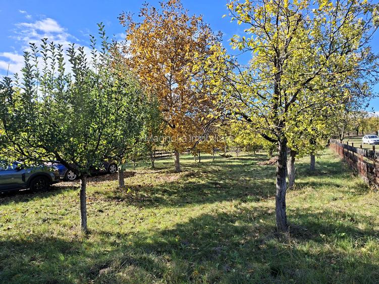 Priveliste de vis, 5 camere + anexe, teren 7000 mp, gata de mutat - comision 0%! - 4