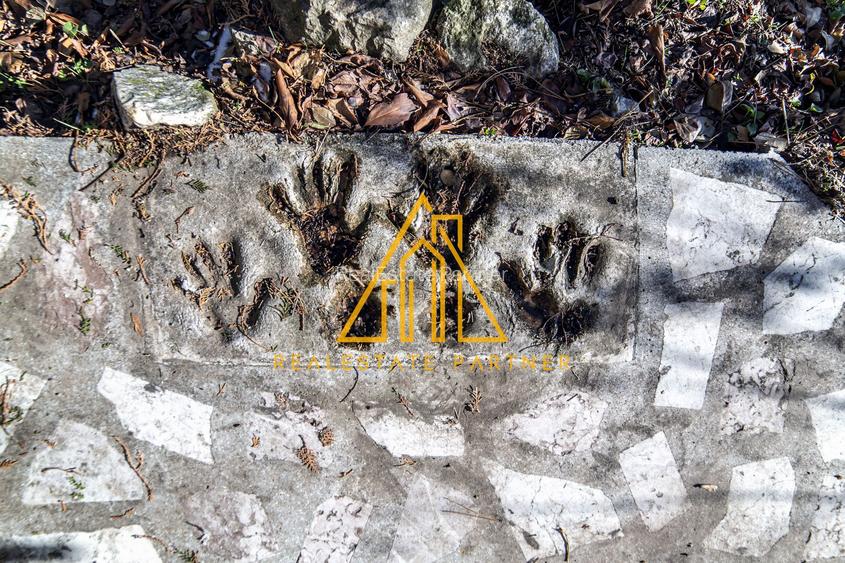 Casa superba, Adunatii Copaceni - 4