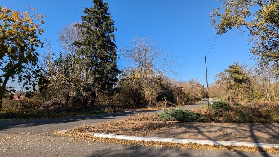 Teren 19.470 mp, investitie ideala, Green City -1 Decembrie, Ilfov - 13