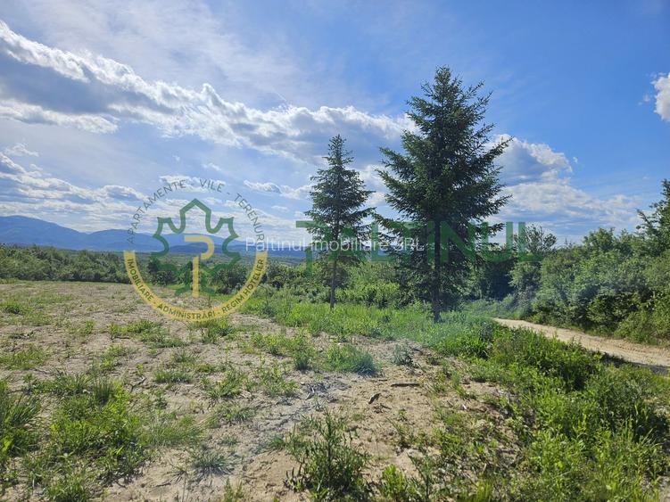 Teren 3.000 mp cu priveliște panoramică spre Munții Făgăraș - 4