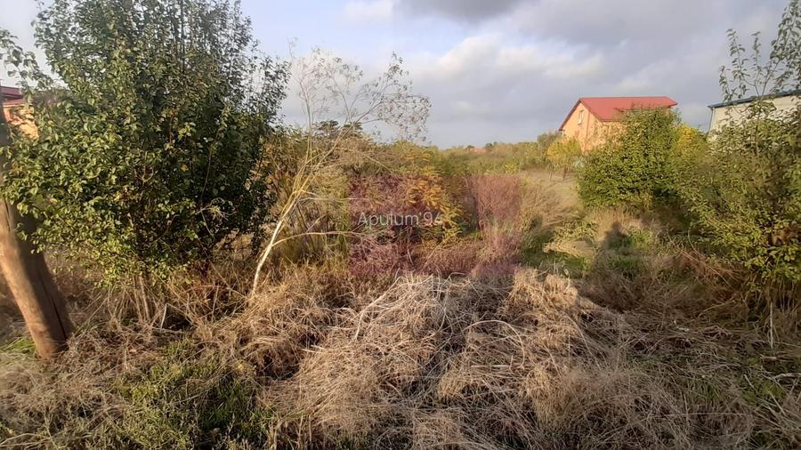 Teren foarte bun în 1 Decembrie Ilfov - 17