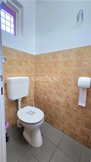 VIDEO | Spatiu comercial ULTRACENTRAL 106 mp + Subsol 105 mp | I.C.Bratianu - 12