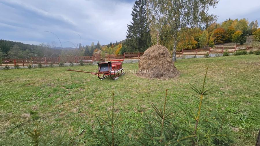De vanzare cabana deosebita - cadru natural - zona Cheia-Prahova - 10