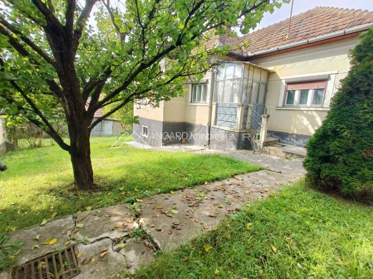 Teren autorizabil Liu | 1000mp | front 30ml | Borhanci - 6