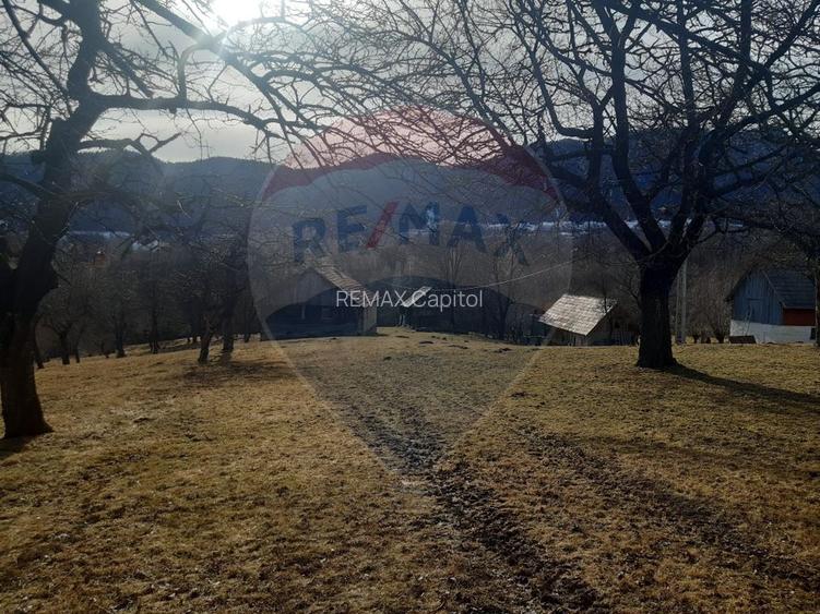 Teren 10,279 mp Bran- Predelut / Strada Pe Tarina nr. 70A - 9