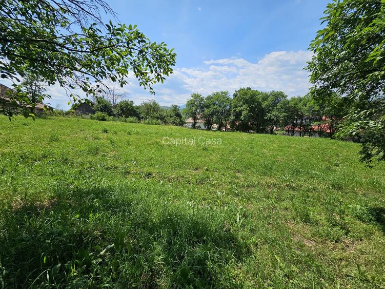 Teren de Vanzare in Plopu - Darmanesti, cu toate utilitatile - 6