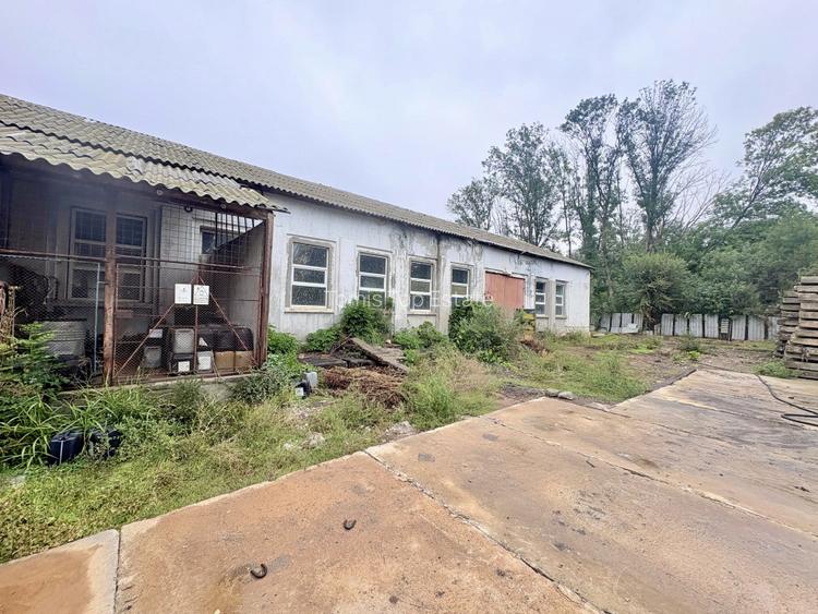 Teren in mijlocul padurii Valu lui Traian 1875 mp si cladire 450 mp hala - 4