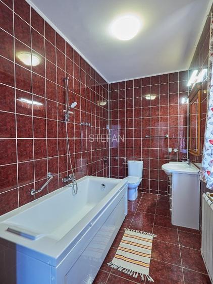 Vila  P+1+M - parc Bazilescu-286mp - 8