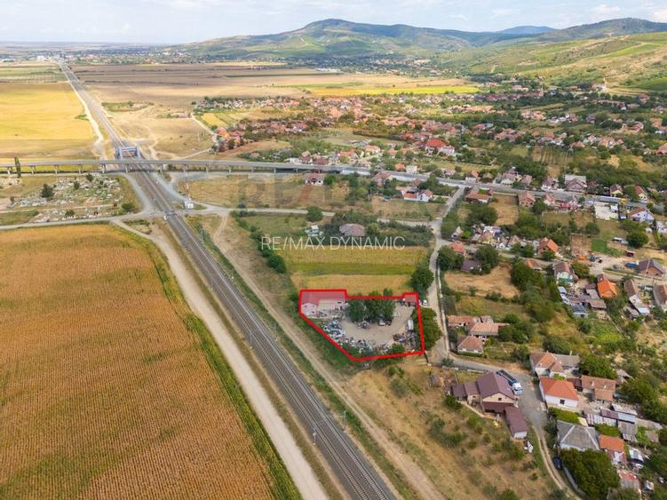 Spațiu industrial cu potential de vanzare in Paulis,Arad - 24