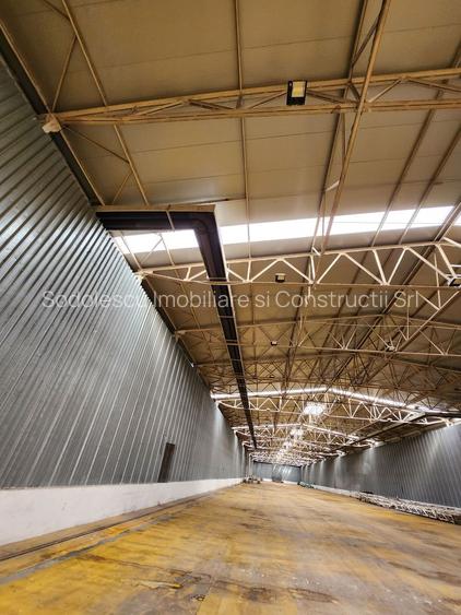 Hale depozit-productie industriala la 20 km de TM - 19