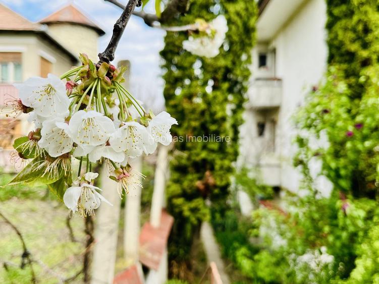 Vilă 4 familii | Apartament + mansardă | Curte 98 mp - 45
