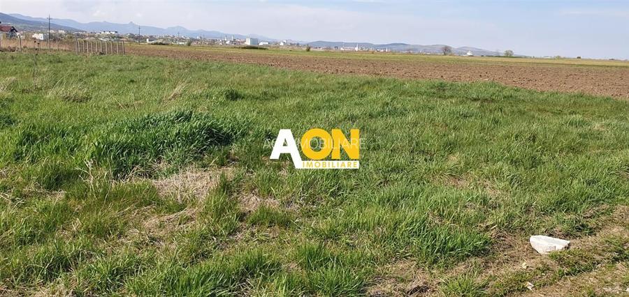 Teren Construibil, Partos 480mp - 2