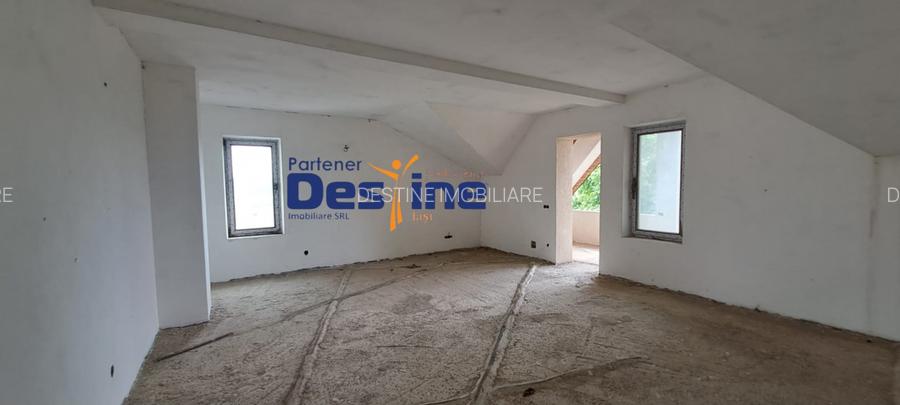 Vila , D+P+1+M+POD, 474 mp, Valea Lupului - 10
