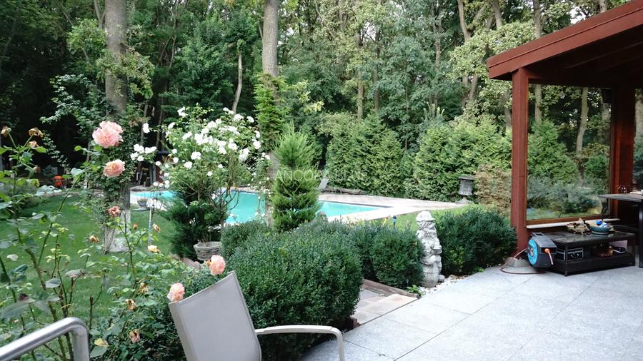 Vila superba in Padurea Baneasa, curte 5000 mp, piscina exterioara - 2