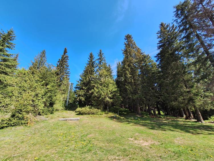 TEREN DE VANZARE 7000 MP INTRAVILAN -STATIUNEA PALTINIS! - 2