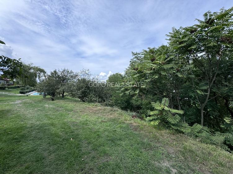 Hotel 25 camere 100 m deschidere DELTA DUNARII teren 12000 mp acces auto - 23