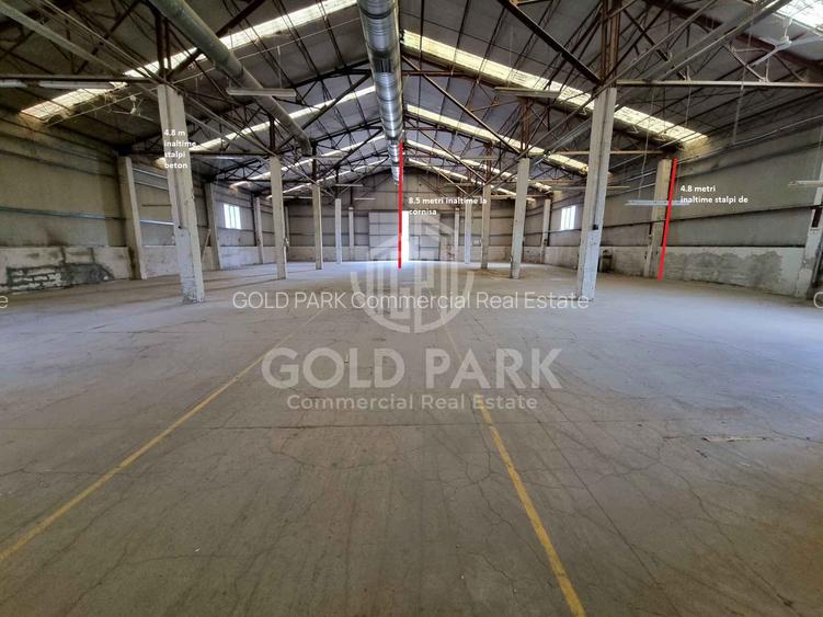 Hala in curs de renovare-Calea Baciului-Suprafete intre 80-400 mp - 6