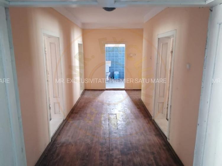 De Vanzare Casa/Oportunitate Comerciala - 8