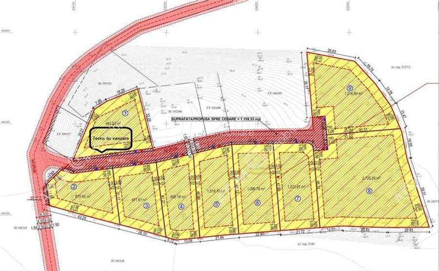 Teren intravilan 993 mp in Tocile pretabil casa de vacanta - 2