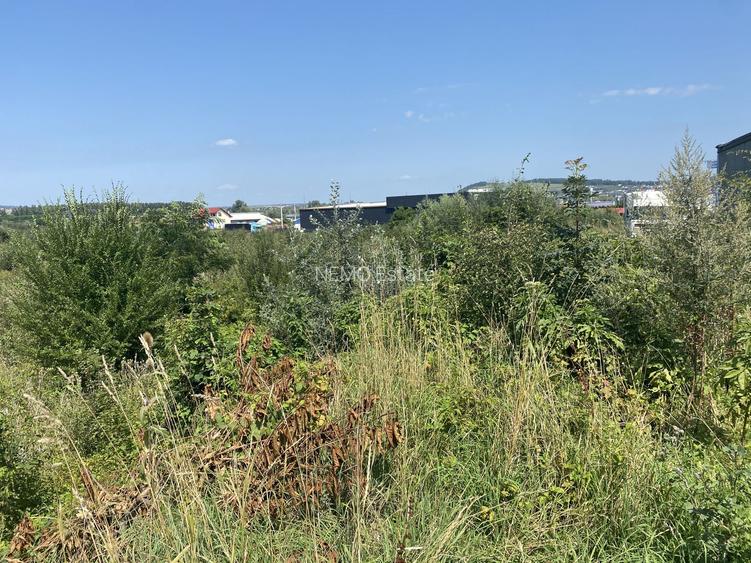 Teren Industrial | Scheia | 80m Front - 2