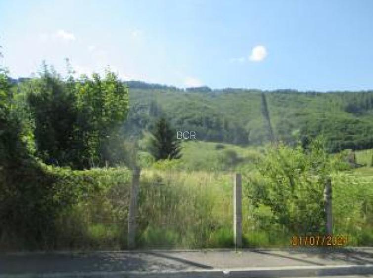 Teren intravilan 600 mp, BRASOV, SACELE - 3