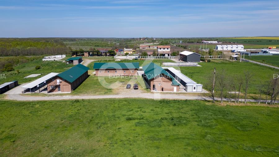Black Angus Farm with authorized Slaughterhouse - 10