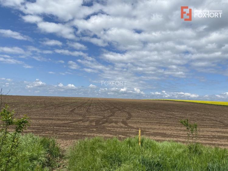 Teren Agricol | Opurtunitate investitie | Sananadrei - ID V713 - 5