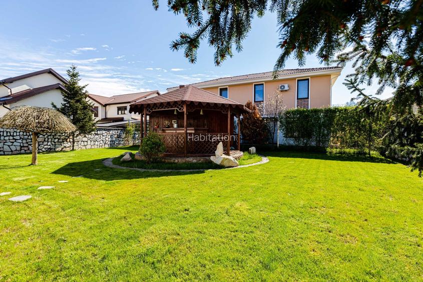 Dumbrăvița, la intrare – casă exclusivistă ideală locuință sau birou - 19