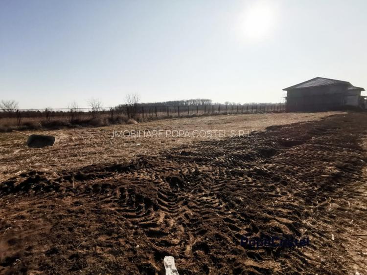 Silistea Snagovului teren intravilan 900 mp + 100 mp drum servitute - 3