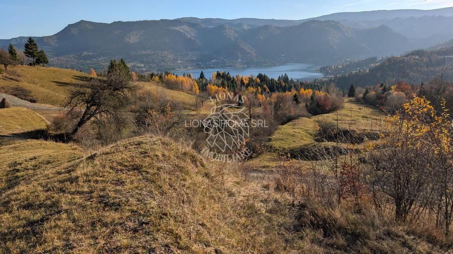 Teren 2.950 mp+ Proiect Resort ALPINA 6 COLIBITA- vedere lac Colibita - 12