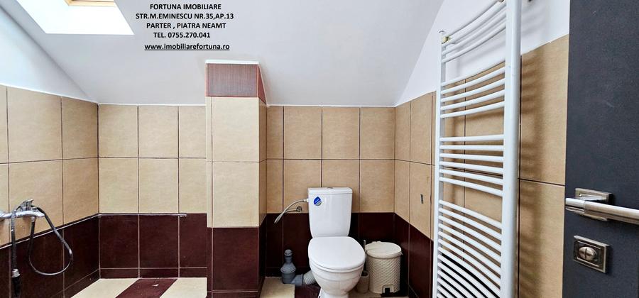 Vila cocheta, prevazuta cu garaj si 500 mp teren, com.Alexandru cel Bun