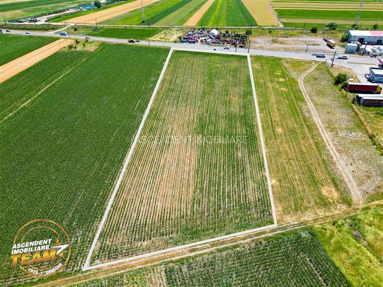 8.400mp, la DN12, cu Certificat Urbanism, teren intravilan, Chichis, Covasna. - 2