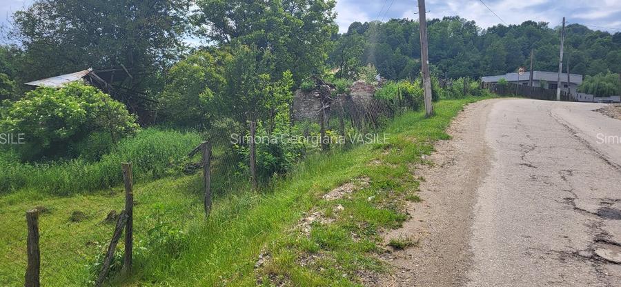 Vand 2.582 mp teren intravilan in Bughea de Jos, Argeș - 3