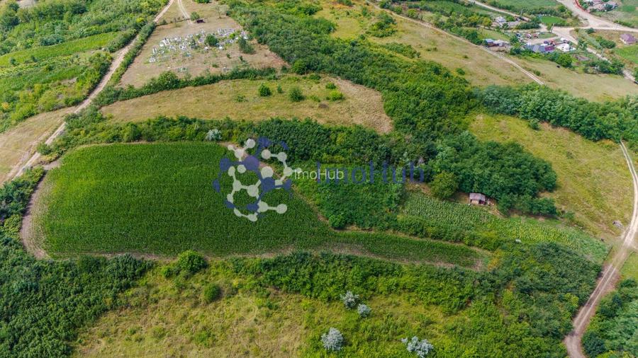 Teren intravilan - Rediu Aldei - 6