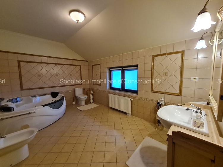 Poziție de top în Dumbravita - 11