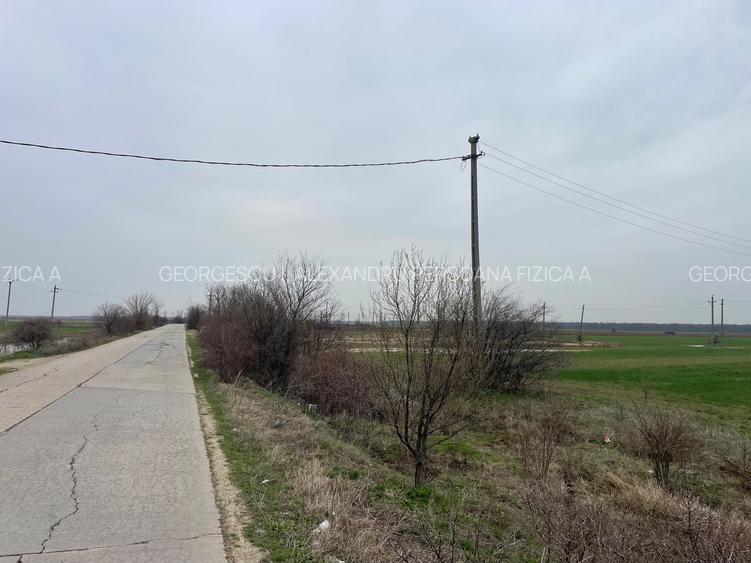 Giurgiu-Marsa Teren Agricol 8.5 Ha - 7