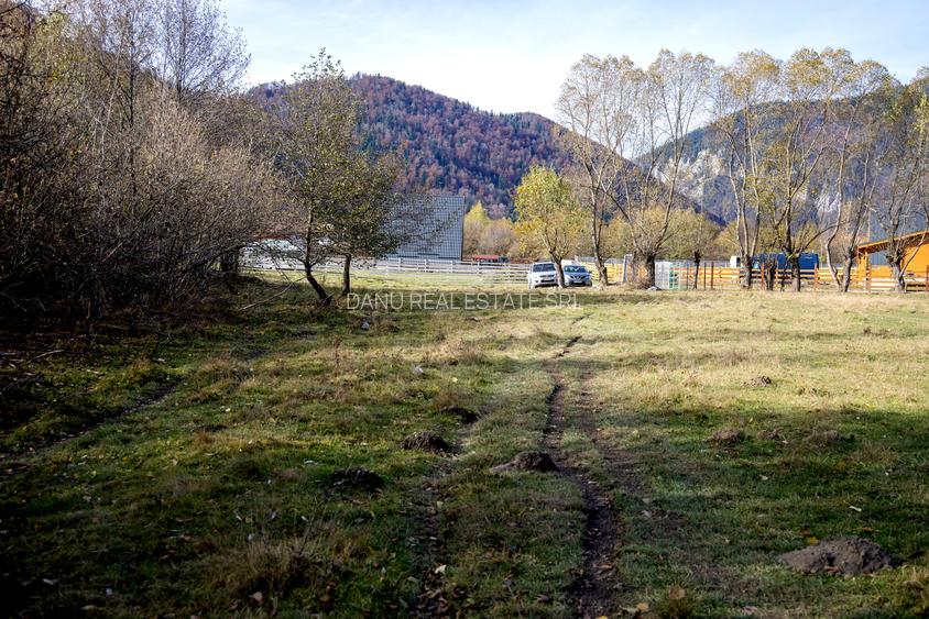 Teren intravilan 2500mp Tohanita Zarnesti- ideal casa de vacanta - 14
