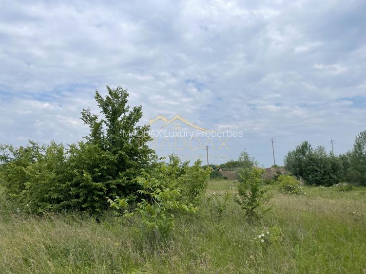 Teren intravilan***1439 mp***Cretesti-Vidra-Ilfov - 8