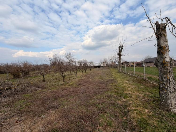 Casa in Sat Malamuc, Comuna Gherghita - 6