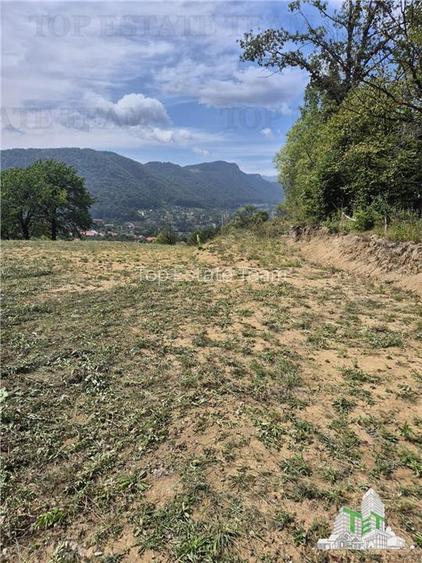 Teren intravilan pentru investitie turistica, 4000 mp, langa Club Vila Bran cu p - 7