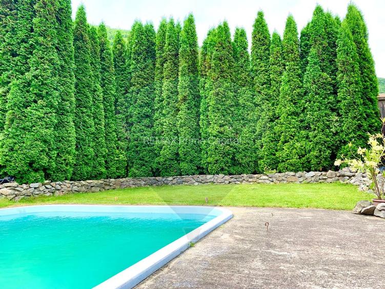 Pensiune cu 13 camere de vânzare in Bulz - 5