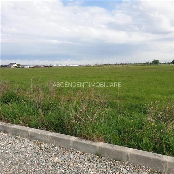 10.000mp intravilan, front la doua strazi, configuratie avantajoasa, aria Coresi - 11