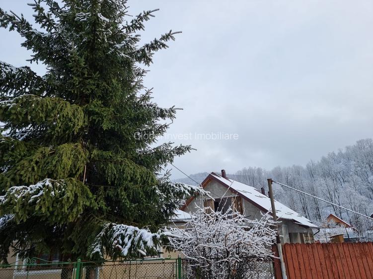 Casa 5 camere+ anexe cu teren 686mp - 14